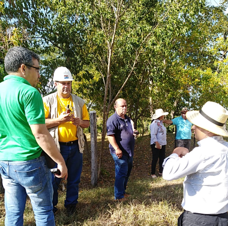 Catastro realizó verificación perimetral en Caaguazú